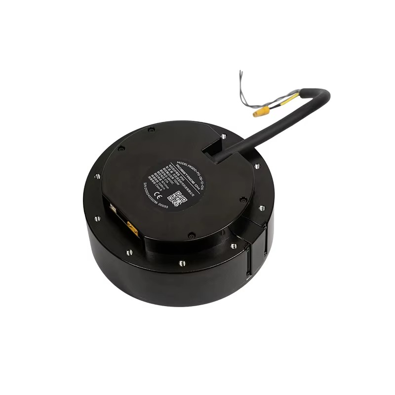 Motor Driver Module - Neuer Vollmotor 200 U/min 10 %