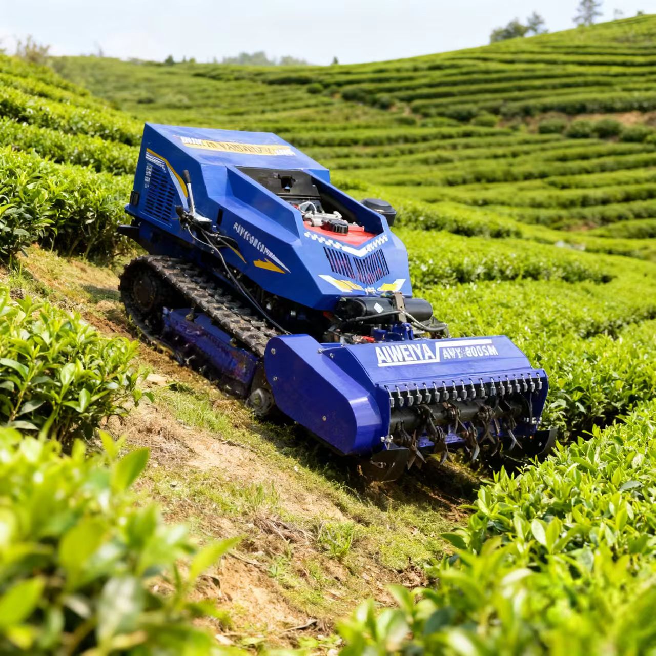 Maßgeschneiderter Benzin-Rasen – Robot Chassis Bewertung und Preis
