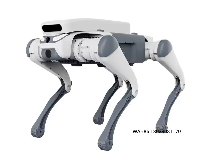 Stunt-Fernbedienung, Lernspiel – Robot Remote Control Bewertung und Preis